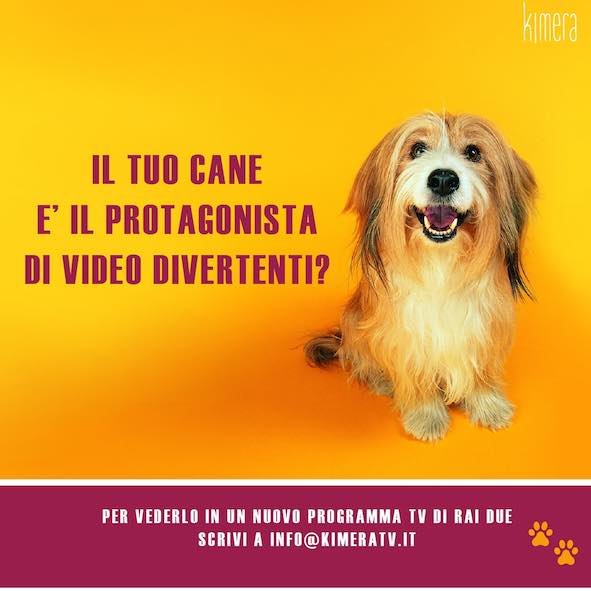 call to action video small.jpg