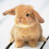 °°Cloe°°