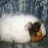 kittina85