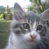 BETTYNA